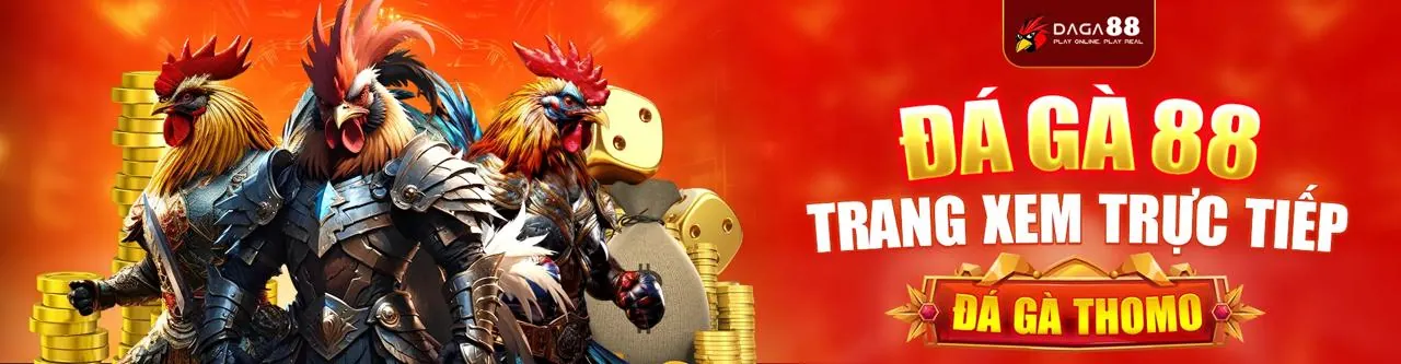 Trực tiếp đá gà chất lượng cao